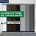 ✓ Hörmann Sektionaltor Woodgrain 2750 x 2500 mm, Garagentor-Set M-Sicke