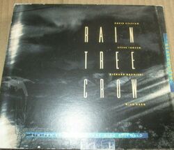 Rain Tree Crow - Blackwater Etikett: Virgin - VSCDX 1340 Promo CD Single 