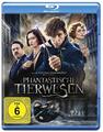 Phantastische Tierwesen und wo sie zu finden sind - Blu-Ray