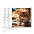 Katzenkalender + + Taschenkalender 2024  |  Cat Calendar 2024 [K23]