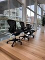 Herman Miller Aeron Graphite Full Option Posturefit Full Option - Bürostuhl