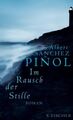Im Rausch der Stille: Roman (Literatur (international)) Sanchez Piñol, Albert un