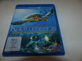 Blu-Ray  Faszination Korallenriff 3D - Fremde Welten unter [3D/2D Blu-ray]