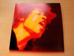 Jimi Hendrix Experience/Electric Ladyland/2015 remastered 2x LP Set + Booklet/EX