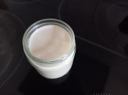 Joghurtkultur Joghurtferment Starterkultur probiotisch BIO 1,2 gr