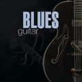 Bluesgitarre, verschiedene Künstler, Audio-CD, neu, KOSTENLOSE & SCHNELLE Lieferung