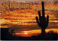 Vintage Postcard Arizona USA Sunset Beautiful Cactus Skyline America