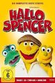 Hallo Spencer - Staffel 1 [7 DVDs] von Debertin, Winfried... | DVD | Zustand gut