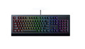 Cynosa V2 Chroma Keyboard Gaming Tastatur RGB Aussteller