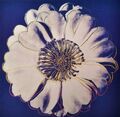 Andy Warhol Blume (blau & weiß) POP Art Lithographie #Einzigartiges Geschenk Andy Warhol Kunst