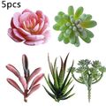 Neige Rose Plante Artificielle Alo��s Vert Rouge Cactus Magasin D��cor Bureau