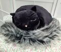 Neu ohne Etikett Jellycat Nestie Katze süß schwarz Kissen Plüschtier 19 cm x 38 cm
