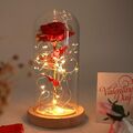 LED Ewige Rose im Glas für Frauen Rose Geschenk,Ewige Rose Ornament mit Licht