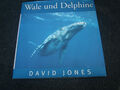 Wale und Delphine von David Jones