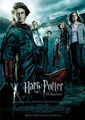 harry potter und der feuerkelch film DVD