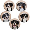 Entlebucher Sennenhund  - 5 Kühlschrankmagnete Ø 45 mm freie Farbwahl