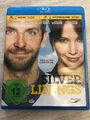 Silver Linings (2013)