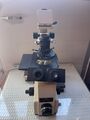Olympus IMT-2 Inverses Mikroskop Stativ Inverted Microscope