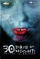 30 Days Of Night: Return To Barrow, Niles, Steve