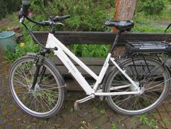 E Bike (2) von Ruhewerk ca 12 -14 Jahre alt wird verkauft als defekt 28 Zoll 