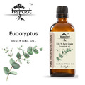 Eukalyptus 100% reines ätherisches Öl natürliche therapeutische Qualität...