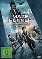 Maze Runner: Die Auserwählten in der Todeszone von Wes Ball | DVD | Zustand gut