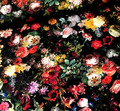 Baumwollstoff Meterware Stoff Blumenmalerei Kunstwerk Rosen Gemälde mit Blumen