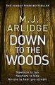 Down to the Woods: DI Helen Grace 8 (Detective Insp... | Buch | Zustand sehr gut