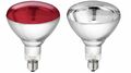Hartglas - Infrarotlampe PHILIPS Wärmelampe Rotlicht Infrarotbirne Wärmestrahler