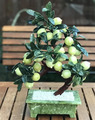 Drexel: Zitronenbaum mit 26 Zitronen in Serpentin-Topf von QVC