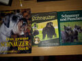 3 Schnauzerbücher, Das große Schnauzerbuch,Unser Traumhund Schnauzer, Schn u Pi