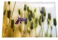 WhiteWall  Bild 30x20cm Blumen Acrylglas und Alu-Dibond