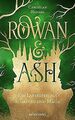 Rowan & Ash: Ein Labyrinth aus Schatten und Magie v... | Buch | Zustand sehr gut