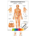 Körperakupunktur II Mini-Poster Anatomie 34x24 cm medizinische Lehrmittel