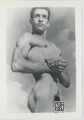 VINTAGE männlich Aktfoto Modell 1960er/70er Jahre Mann männlich Physique Homosexuell (B)