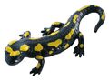 Bullyland Figur Feuersalamander 68493 Neu