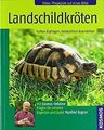 Landschildkröten: Halten & pflegen, beobachten & ve... | Buch | Zustand sehr gut