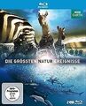 Die größten Naturereignisse [Blu-ray] | DVD | Zustand sehr gut