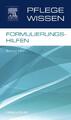 PflegeWissen Formulierungshilfen | Bernd Hein | Taschenbuch | Pflege Wissen