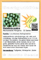 🥒 Melothria scabra - Mexikanische Minigurke - Mexican Sour Gherkin - 50 Samen