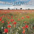 Wild Flowers – Wildblumen 2022 – 16-Monatskalender:... | Buch | Zustand sehr gut