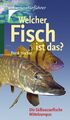 Welcher Fisch ist das?