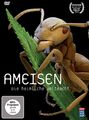 Dvd - Ameisen - Die Heimliche Weltmacht DVD #G2045085