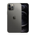 Apple iPhone 12 Pro Max 256GB Graphit WIE NEU MwSt nicht ausweisbar