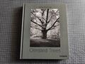 Stanley Greenberg Olmsted Trees Fotobuch Bildband Fotografie Bäume 