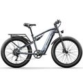 E Bike Mountainbike 26 Zoll Elektrofahrrad 1000W BAFANG Herren Trekking eBike