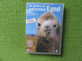 DVD: Die Geschichte vom weinenden Kamel, guter Zustand