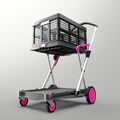 Klappmobil Transportwagen Trolley inkl. Klappbox - CLAX