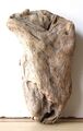 Treibholz Schwemmholz Driftwood  1 knorrige   Skulptur Basteln Dekoration 25 cm