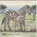 3 lose Servietten ~ Zebra mit Fohlen Afrika Pferd